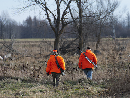 Deer Hunting in Britton